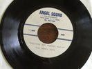 Angel Sound ACETATE : Beach Boys - keeping the summer alive 7” 45 M-