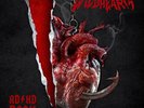 Wildhearts (The) ADHD ROCK Vinyl 10
