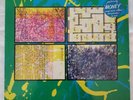1979 THE flying lizards VIRGIN 1St pressing VA13137 NEW SEALED( other)   L  K