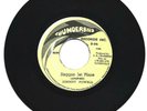 JOHNNY POWELL - REGGAE JET PLANE - THUNDER BIRD'S ORCHESTRA - 7''