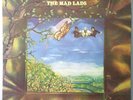The Mad Lads– A New Beginning 1976 VG++ Volt-VOS6020 Al Jackson/Donald