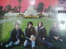 Rain Parade Explosions In The Glass Palace lp RSD 2022 New Sealed Paisley