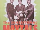 LP REGGAE SOUL / THE SENSATIONAL MAYTALS / DYNAMIC SOUNDS