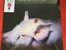 The Damned Strawberries - RSD Red & Pink Swirl Scented Vinyl  Record Store Day