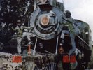 VINYL The Ethiopians - Train To Skaville