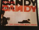 The Jesus And Mary Chain « Psycho Candy  » 1985