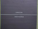 Lungfish - Indivisible - Vinyl LP - Dischord - First Pressing - NM
