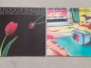A Flock of Seagulls 2 x Vinyl Albums