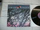 A Blaze Colour Against The Dark Trees Beyond,12