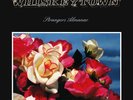 STRANGERS ALMANAC by WHISKEYTOWN 2xLP Double Vinyl Black 180g SEALED Ryan Adams