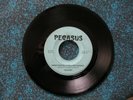 Very Rare PEGASUS Honeysuckle Willow Bridge, Turkey Dove hard rock metal 45 rpm