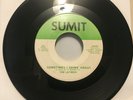 THE LAYMEN • Sometimes I Think About • GARAGE ROCK PSYCH RARE FLORIDA 45