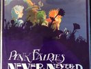 PINK FAIRIES - NEVER NEVER LAND - POLYDOR UK 1971 ORIG A1/B1 w/3D PLASTIC SLEEVE