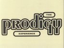 The Prodigy – Experience, 2 x Vinyl, LP Album, Repress, Gatefold, *Sealed*