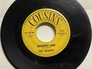 The Regents 1961 WHITE DOO WOP 45 Barbara Ann / I'm So Lonely COUSINS VG- HEAR