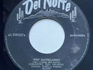 CONJUNTO RIO GRANDE - Voy Navegando / RARE RANCHERA 45 DEL NORTE