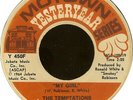 The Temptations - My Girl / The Way You Do The Things You Do (7