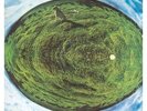 Mike Oldfield ‎LP Vinyle Hergest Ridge / Virgin‎ Oved 163 Neuf