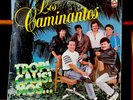 LOS CAMINANTES TROPICALIZIMOS -  lp vinyl recor 33 rpm - 1990 LUNA RECORDS