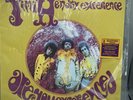 The Jimi Hendrix Experience Are You Experienced Vinyl 180Gram Audiophile LP 2010