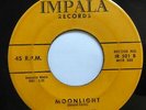 The Dynamics 45 Moonlight / Someone IMPALA white 1958 doowop  mc 189