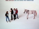 LP 33 Soul Asylum – And The Horse They Rode In On US 1990 Clear Blue Vinyl