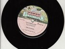 THE RIVIERAS  California Sun & SPOTNICKS Orange Blossom Special 7