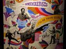 Decemberists I'll Be Your Girl Signed
