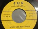 Jay Netts 1956 DOOWOP 45 Where Are You Tonite  I Wonted To Be Free J&S VG++ HEAR