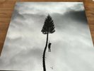 Manchester Orchestra - A Black Mile To The Surface (2LP) Original Pressing RARE