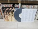Michael Franks – Dragonfly Summer 1993 Korea Vinyl LP INSERT