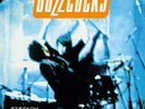 BUZZCOCKS - FRENCH / FLAT PACK...& THE WAY : LTD Edition DLP'S - IN STOCK