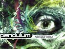 Pendulum : Hold Your Colour VINYL 12