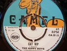 THE HIPPY BOYS CAT NIP / COOYAH OG UK CAMEL RECORDS 7
