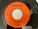 Sweet Soul 45/ The Fidelics Lovers in the Park