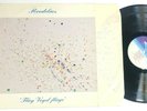 Flieg Vogel Fliege by Roedelius Lp German Import prog ambient electronic Vg+
