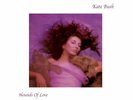 KATE BUSH - Hounds Of Love (180G Vinyl LP) 2018 Parlophone NEW / Shrink tear