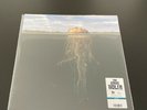 Mars Volta - De-loused in the comatorium - Sky Blue / Dark Green 2LP - Sealed
