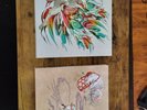 Okami Soundtrack 4 LP Set - Data Discs - CLEAR W/ Pink and White Splatter