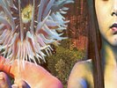 The Future Sound Of - Lifeforms - Vinyl Record.. - e2508e