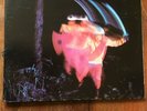 Black Sabbath - Paranoid 12