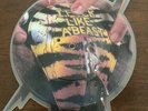 W.A.S.P. I Fuck Like A Beast picture disc vinyl single RARE MINT condition