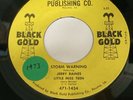Hear Jerry Raines/Storm Warning Rockabilly Loner Vietnam Black Gold 45 Unknown