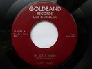LARRY HART 45 'I'M JUST A MENDER' USA GOLDBAND TOP TEN 1958 LOUISIANA ROCKABILLY