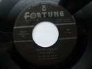 PETE DE BREE 45 'HEY MR PRESLEY' USA FORTUNE HOT 1958 ROCKABILLY 1970s RE VG