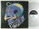 Fuzz - S/T LP - In The Red Clear Wax VG++