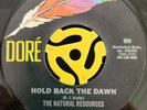 Northern / Sweet Soul 45 - Natural Resources - Hey Foxy Lady - Dore Vg++ HEAR