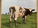 PINK FLOYD - ATOM HEART MOTHER UK 1ST PRESS “NO EMI” A-1G/B-1G Drip Loop EX/EX-