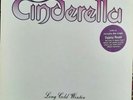 Cinderella  - Long Cold Winter UK Vertigo LP 1988 & Inner sleeve 1U/B2 matrices