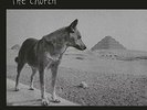 The Church - Priest = Aura (NEW 2 VINYL LP)